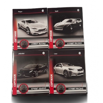 Тетрадь общая (скоба), ф.170х205, клетка, 48л.,4+0,СЛ, серия Стритрейсинг