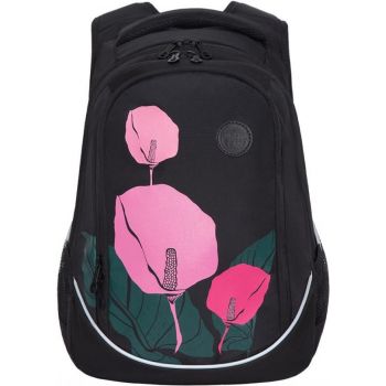 Рюкзак Grizzly RD-141-2/1 черный